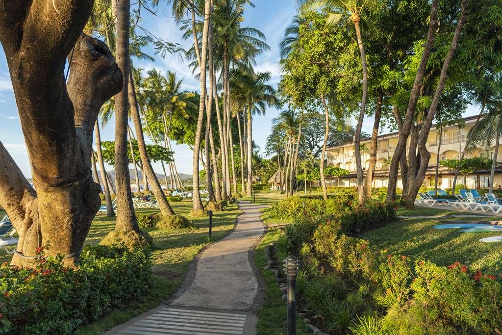 Hotel Tamarindo Diria Beach Resort מתקנים תמונה